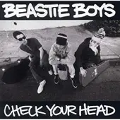 Ginza.se Beastie Boys - Check Your Head (2 LP) (Remastered)