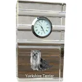 Art-Dog Klok – Yorkshire Terrier