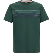 Regatta Rendro heren T-shirt met korte mouwen en grafische print