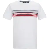 Regatta Rendro heren T-shirt met korte mouwen en grafische print