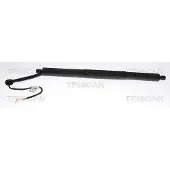 TRISCAN 8710 11308 Gasveer achterklep