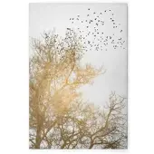 A.S. Création Canvas DD124812 Goldenskies A. S. Création
