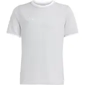 Adidas Functioneel shirt 'Entrada26' stone grey / wit