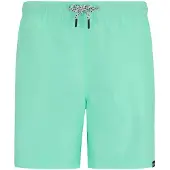 Regatta Mackeyna Swimming Shorts Groen S Man