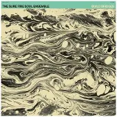 Konkurrent The Sure Fire Soul Ensemble - Build Bridges (CD)