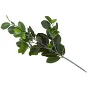Homescapes Decoratieve kunsttak van rubberboom, 58 cm hoog