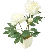 Homescapes kunstbloemen pioenroos in witte pot, crème