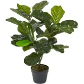 Homescapes Kunstplant Vioolbladplant (Ficus lyrata) in Pot – 70 cm – Groen – UV-bestendig