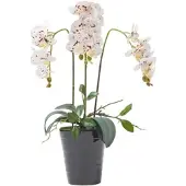 Homescapes Kunstmatige Witte Phalaenopsis Orchidee in Zwarte Keramische Pot 56 cm
