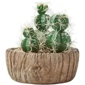 Homescapes Kunstcactusarrangement in pot met houteffect, 15 cm hoog