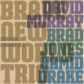 OUTHERE David Murray Brave New World Trio With Brad Jones And Hamid Drake - Seriana Promethea (CD)