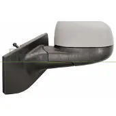 PRASCO Buitenspiegel DW3407124