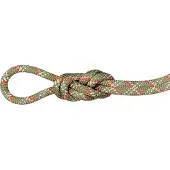 Mammut - 9.5 Gym Classic Rope - Enkeltouw 50 m, beige