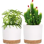 Famanu - Set van 2 moderne plantenpotten 12,7 cm met drainage wit