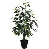 Buitengewoon Boet Ficus Bonsai Donkergroen 60 cm kunstplant Buitengewoon de Boet