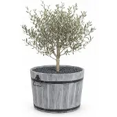Praxis Plantenbak acaciahout rond Ø55cm grijs