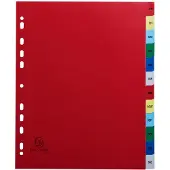 Exacompta 20x Tabbladen met bedrukte tabs in gekleurde PP - 12 tabs - januari/december - A4 maxi - Geassorteerde felle kleuren - 92E