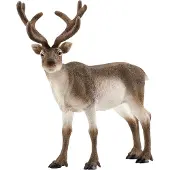 Schleich - Wild Life - Reindeer (14837)