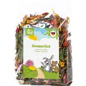 Jr Farm Ruwe Knaagdiersnack - Zomerveld