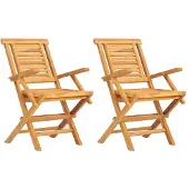 vidaXL Tuinstoelen 2 st inklapbaar 56x63x90 cm massief teakhout