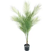 Nova Nature Areca palm in pot green 135cm |