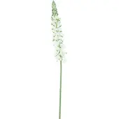 Nova Nature Antirrhinum spray Ambert cream 108cm |