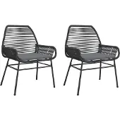 vidaXL Tuinstoelen 2 st met kussens poly rattan zwart