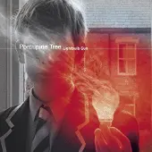 Porcupine Tree - Lightbulb Sun (2 LP)