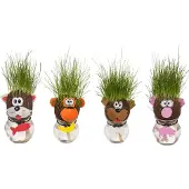 24hShop Dieren Graskop