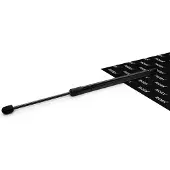 RIDEX 219G1351 Gasveer achterklep