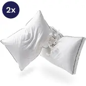 Zelesta PillowFight 50x60x10cm