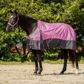 QHP Outdoor paardendeken
