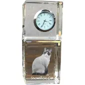 Art-Dog Klok – Snowshoe