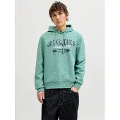 Jack & Jones Sweatshirt mintgroen / spar / wit