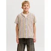 Jack & jones Junior Overhemd beige / lichtblauw / zwart / wit