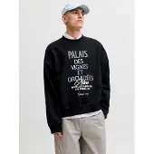 Jack & Jones Sweatshirt hemelsblauw / pasteloranje / zwart / wit