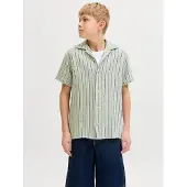 Jack & jones Junior Overhemd 'JORCOBA' pastelgroen / zwart / wit