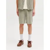 Jack & Jones Junior Broek 'JPSTJaiden Patras' pastelgroen