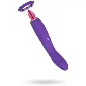 Easytoys - Vibe Collection - Pleasure Pump met G-Spot Vibrator - Vibrators voor Vrouwen - Clitoris Zuiger - Clitorispompen - Sex Toys voor Vrouwen - Vibrators - Seksspeeltjes - Clitoris Stimulator - Paars