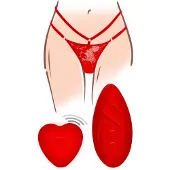 Toyjoy Divine Panty Vibrator