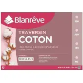 Blanreve Kussen Blanreve 160 cm
