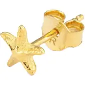 Radiant Zilveren zeester piercing verguld - - Maritiem ontwerp - 24K verguld zilver - Eén maat - Elegant