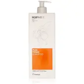 Framesi Morphosis Purifying Shampoo