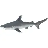 Safari Ltd
