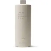 PREVIA / earth: Colour Aktivator 1000 ml 9 % (30 Vol.)