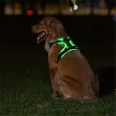 Semoic Lichtgevend huisdierharnas voor honden, verstelbare borstband M