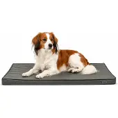Lionto hondenmat, orthopedisch, met drukverlagend memory foam, antislip onderkant en afneembare hoes, 80x55 cm, grijs