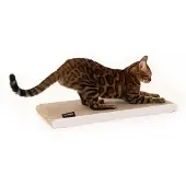 OEM Omkeerbare krabplank voor katten, gemaakt van karton, wit