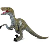 Collecta Figurine - Velociraptor - (M) - Prehistorie - Handgeschilderd - Dinosaurus - Miniatuur
