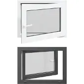vidaXL Kipp- en draaikraam voor kelder, model RISOR, 60 x 100 cm